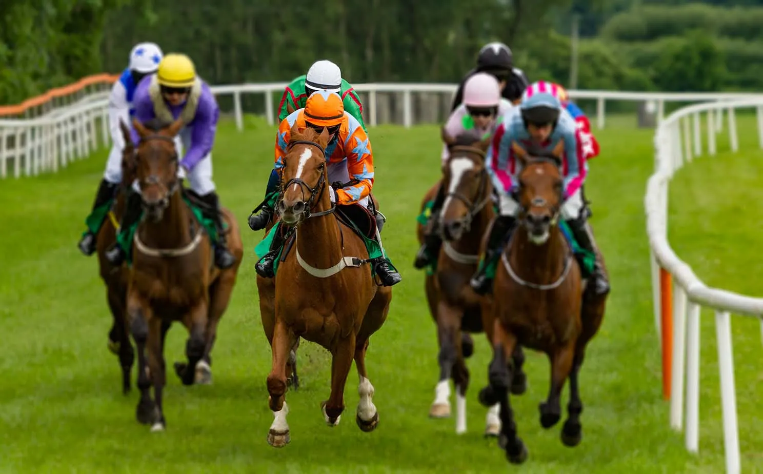 Horse racing photography